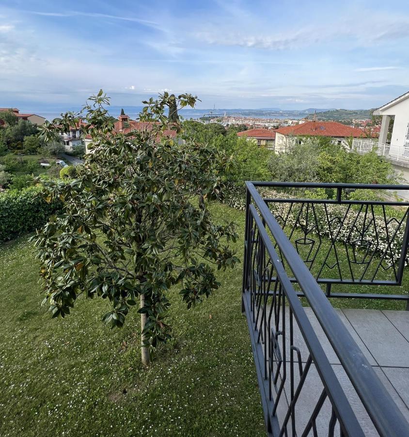 Magnolia Apartments อิซอลา ภายนอก รูปภาพ